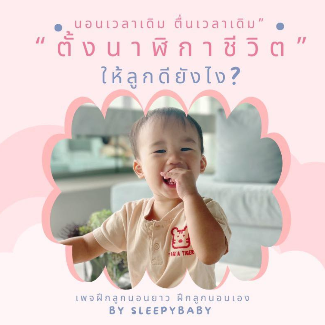 บทความ: ทำไมการตื่นเช้าเวลาเดิมสำคัญ